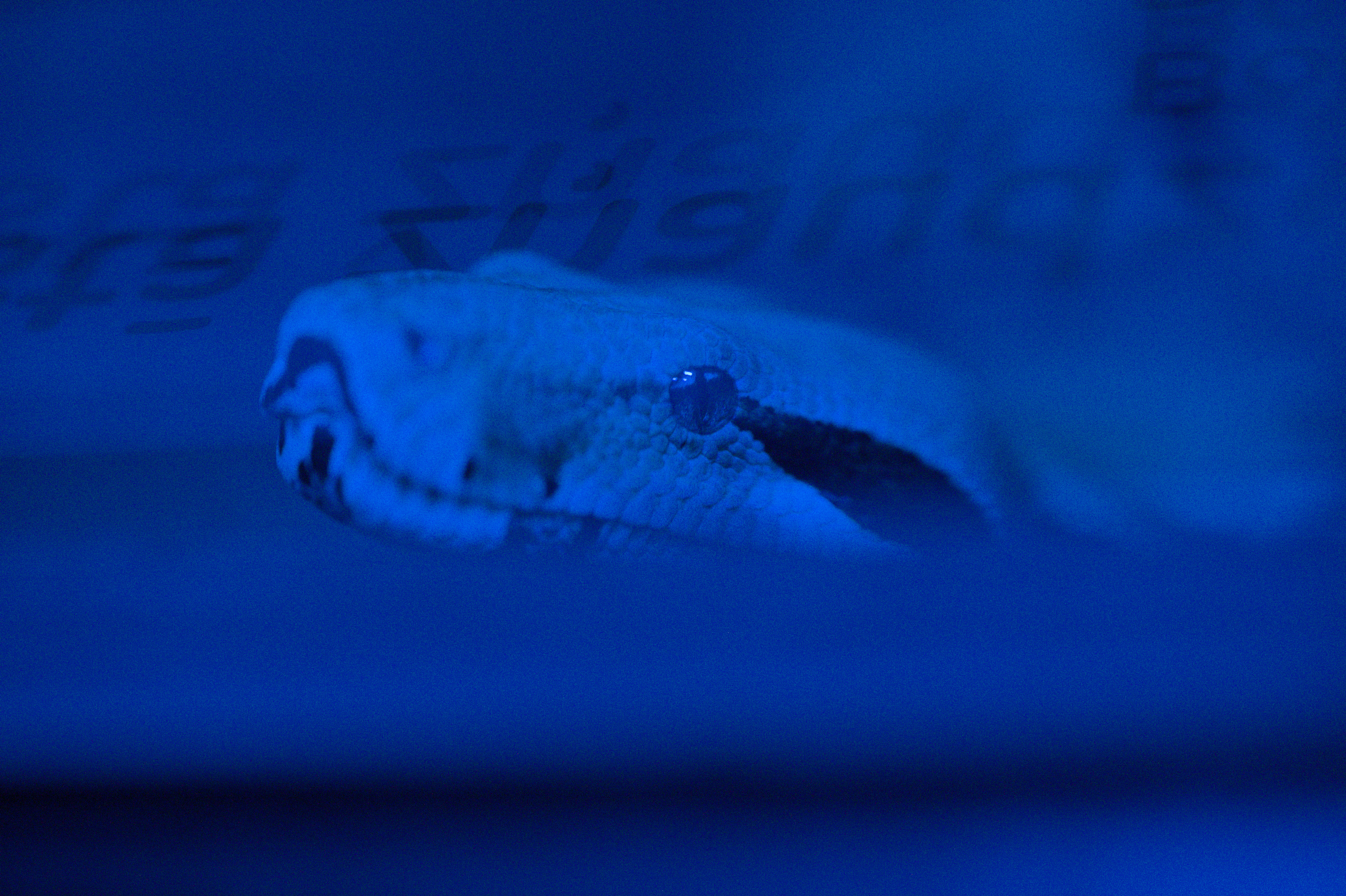 2025/10/12 - zoo/DSC_0254.jpg